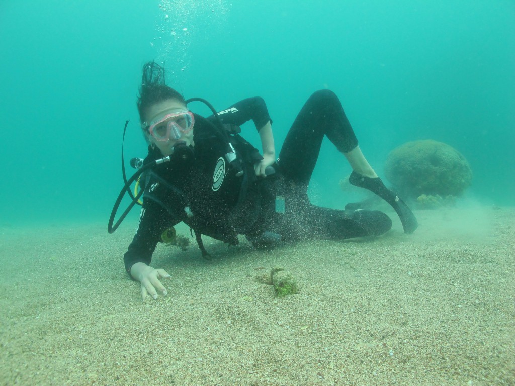 Julia scuba diving